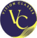 Logo of Vision Classes coaching institute.